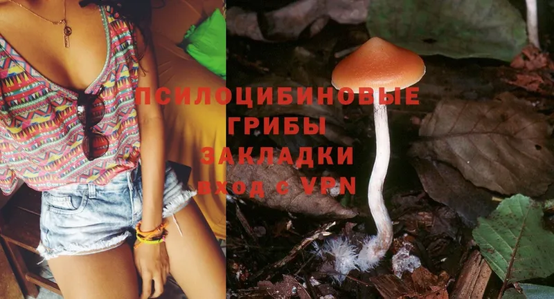 Галлюциногенные грибы MAGIC MUSHROOMS  Моздок 